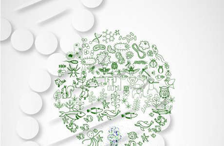 苏州瑞安生物科技 以医药科技为根，深耕医药行业的价值逻辑
